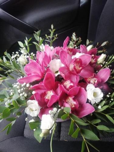 flowerbox ar orhidejam