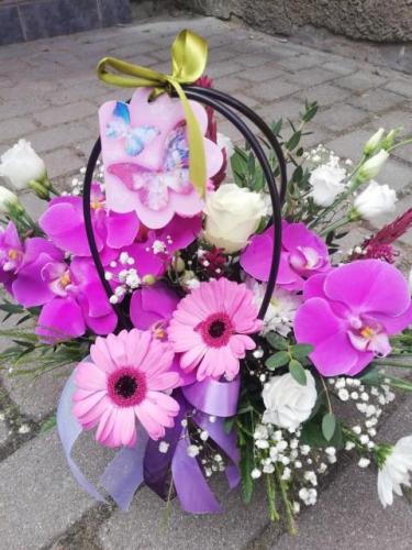 gerberu un orhideju puskis 1